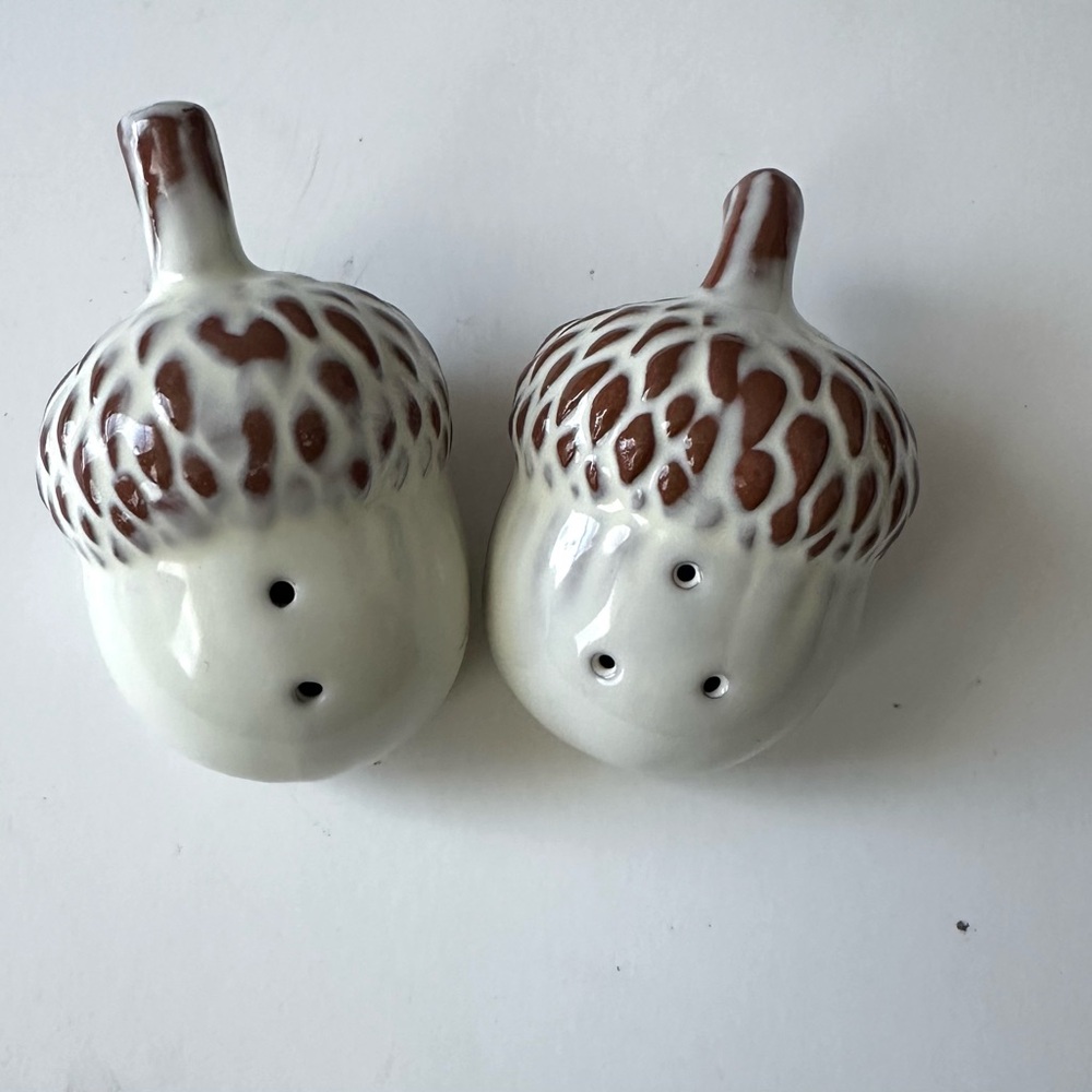 Target Casual Home Acorn Salt and Pepper Terra Cotta Clay MIB